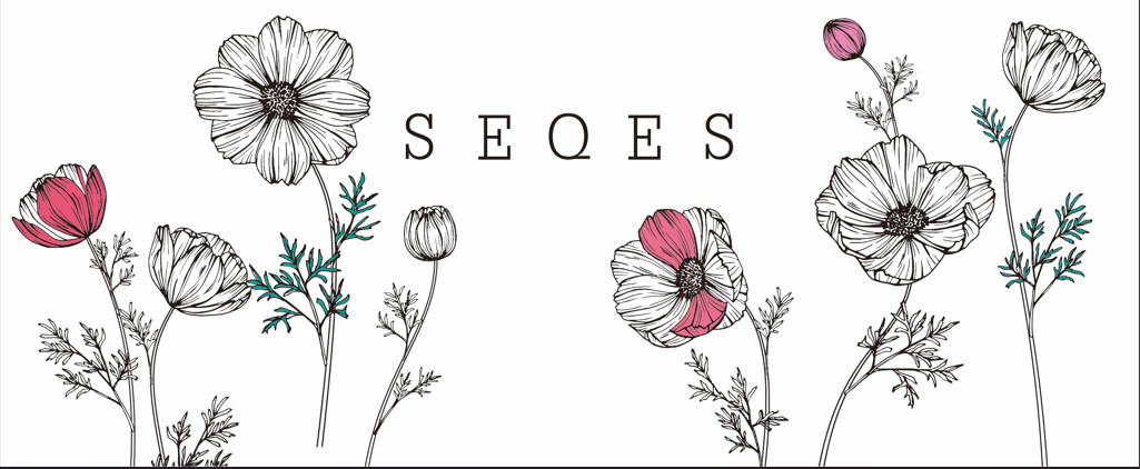 Seqes Journal Coupons and Promo Code
